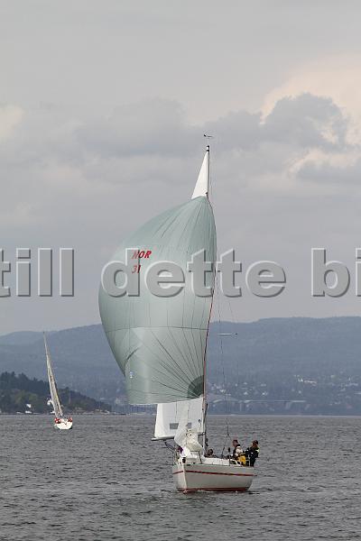 Bundefjorden2012 207.jpg